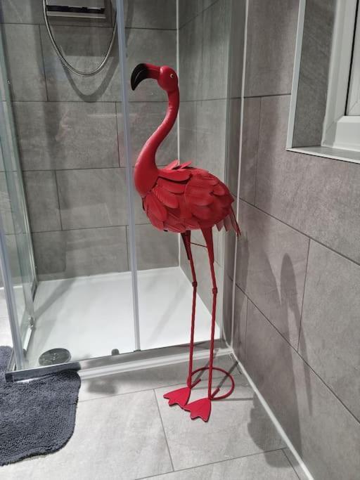 Flamingos Nest Oxford Countryside Apartment Oxford - Bicester Village - Blenheim Palace - Wifi- Free Parking Exteriör bild